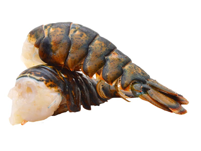 Lobster Tail Frozen - Werdenberg International Corporation