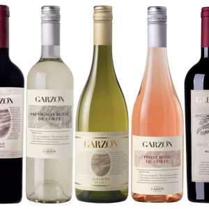 Wines from Uruguay